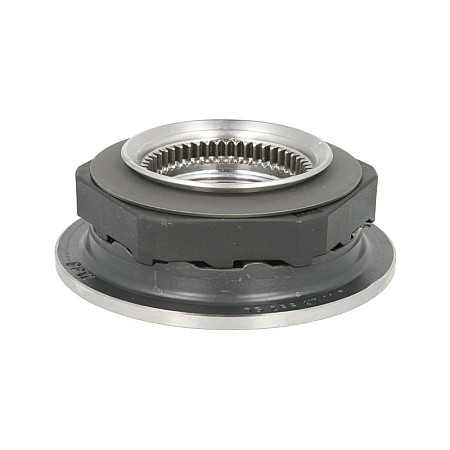 Piulita crenelata Piulita ax de piulita BPW 09.266.47.11.0