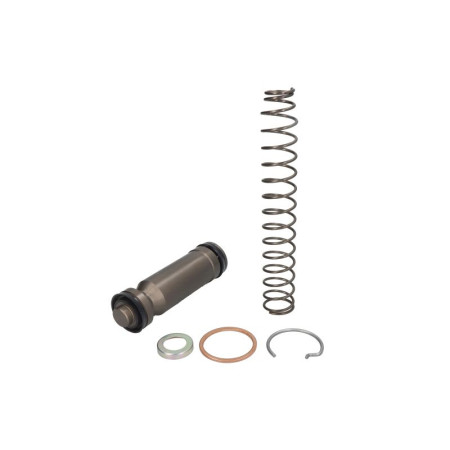Set reparatie, pompa centrala frana Brake master cylinder repair kit FAG Hydraulics VAL9883066
