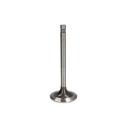 Supapa admisie Intake valve FP DIESEL 1007860-FP