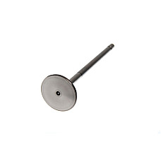 Supapa admisie PARADOWSCY supapa de aspiratie DAF XF250 XF315 XF355 EURO-2 PARADOWSCY PDAF005