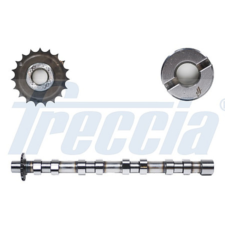 Ax cu came Arbore cu came Partea de admisie supape de admisie CITROEN C4 GRAND PICASSO I C4 II C4 PICASSO I C5 III C8 DS4 DS5 JUMPY II FIAT SCUDO FORD C-MAX II 2.0D/2.0DH 06.02- FRECCIA CM05-2176