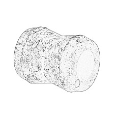 Bucsa, amortizor Shock absorber bushing rear ISUZU OE ISUZU ISU8975093170