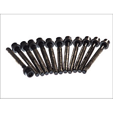 Set surub chiulasa bolturi AUDI A3 A4 A6 FORD GALAXY SEAT ALHAMBRA CORDOBA IBIZA II TOLEDO VOLVO S70 S80 VW CADDY CORRADO GOLF III IV PASSAT POLO 13D 29 0277 0807 ELRING EL819875