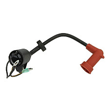 Bobina de inductie YAMAHA 201996-97 251994-2009 C301993-97 SIERRA INTERNATONAL LLC 18-5113