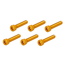 Surub Allen surub M6x30. de aur de culoare VICMA VIC-TA630OR