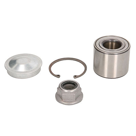 Kit rulmenti roata Kit rulment roata Spate Dreapta/Stanga 25x55x45 DACIA SANDERO II RENAULT CLIO III MEGANE II MODUS SANDERO/STEPWAY II TWINGO II WIND 0.9-2.0D 09.02- FAG Bearings 713 6309 50