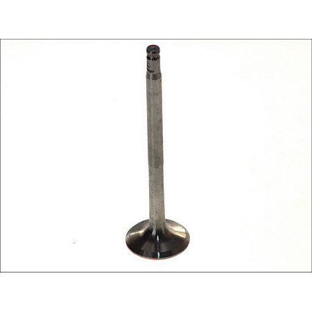 Supapa evacuare Robinet de evacuare 283x7x1044 MERCEDES C CL203 C W202 C W203 C T-MODEL S202 C T-MODEL S203 CLK C209 E W210 E T-MODEL S210 G W463 2.1D-3.2D 09.97- PARADOWSCY PMER020