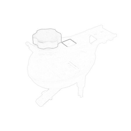 Vas de expansiune, racire Vas expansiune with cap FIAT TIPO 10.15-10.20 OE FIAT 52017097