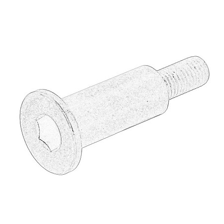 Bolt rola curea distributie surubul intinzator al curelei de distributie TOYOTA 4 RUNNER II HIACE IV HILUX VI HILUX VII LAND CRUISER 90 LAND CRUISER PRADO 10.93- OE TOYOTA 13556-67010