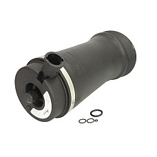 Perna de aer Spate Dreapta/Stanga FORD USA EXPEDITION LINCOLN NAVIGATOR 4.6/5.4 08.96-12.02 ARNOTT EUROPE A-2153