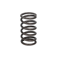 Arc supapa Valve spring CATERPILLAR 3400 SERIES IPD PARTS 4W2471-IPD