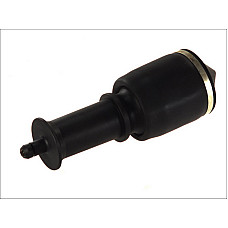 Amortizor, suspensie cabina Burduf de suspensie cabina soferului Fata RVI MAGNUM 09.90- AUGER AUG20096