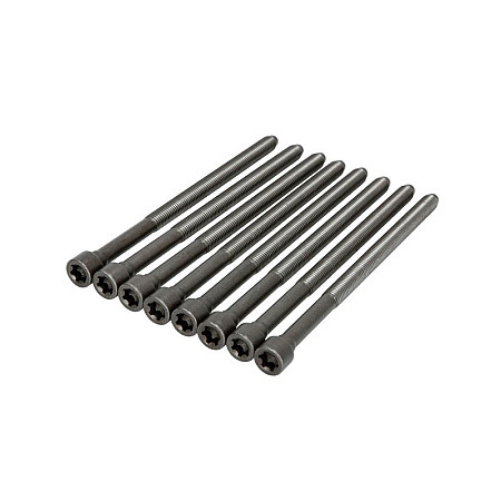 Set surub chiulasa bolturi AUDI A4 A5 A6 A7 A8 Q5 Q7 24 32i 0504  ELRING EL325040