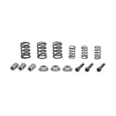 Set reparatie, diferential Differential element fitting kit  CARRARO CARRARO 66616-CR