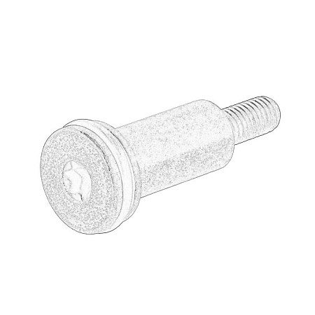 Bolt patina lant distributie Pinul panoului de ghidare a lantului de sincronizare M8 pivot CITROEN BERLINGO MULTISPACE BERLINGO/MINIVAN C3 II C3 PICASSO C4 C4 GRAND PICASSO I 1.4/1.6/1.6LPG 02.06- OE PEUGEOT 082026