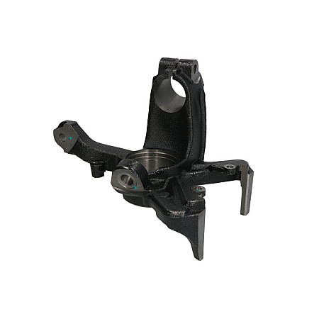 Articulatie directie, suspensie roata Knuckle front L for brake discs 256x22mm AUDI A3 SEAT LEON TOLEDO II SKODA OCTAVIA I VW BORA BORA I GOLF IV TOURAN 09.96- REINHOCH RH08-0009