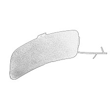 Acoperire, bara protectie Element bara stecher Fata/Superior Stanga IVECO DAILY VI 03.14- OE IVECO 5802316208