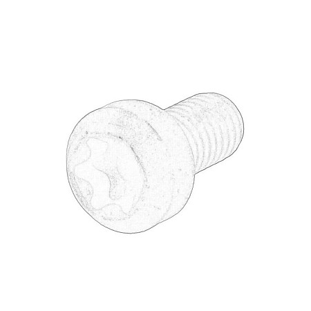 Surub, placa de presiune Clutch pressure plate screw OPEL MOVANO B 2.3D 12.10- OE OPEL 95507630