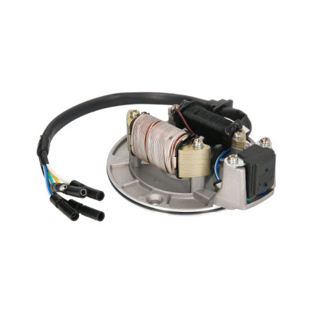 Stator de alternator Stojan Alternatora Do Atv 110 2 Cewki Rozstaw Otworow Mocujacych 112Mm. INPARTS IP000322