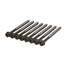 Set surub chiulasa bolturi AUDI A4 A5 A6 A7 A8 Q5 Q7 25TFSI 32FSI 0607  ELRING EL223890