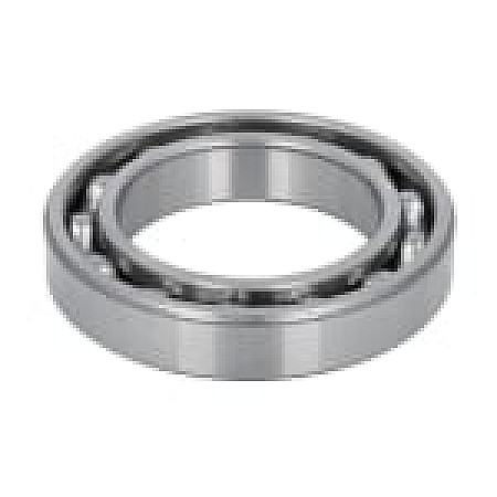 Set reparatie, diferential Differential element bearing  CARRARO CARRARO 25743-CR