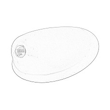 Terminal antena FORD OE HEAD BASE ANTENNA ACOPERIS FAT BAR ^. OE FORD 1738453