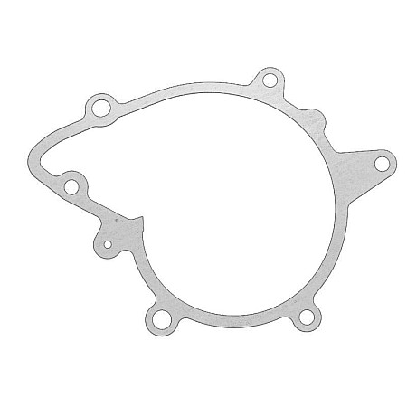 Garnitura, pompa de apa Water pump gasket BMW 5 E34 5 E39 7 E32 7 E38 7 E65 E66 E67 8 E31 X5 E53 3.0-4.6 04.92-07.08 OE BMW 11 51 1 731 372