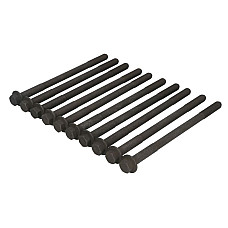 Set surub chiulasa de suruburi pentru capul cilindrului DAEWOO ESPERO LANOS NEXIA NUBIRA 1.5/1.6 02.95- CORTECO CO016070B