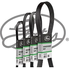 Curea transmisie cu canel Fan Multi-V-belt THERMO KING SL 100e SL 200e SL 400e Gates CB0036