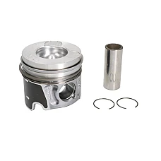 Piston PEUGEOT EXPERT platou / sasiu KOLBENSCHMIDT 99700600