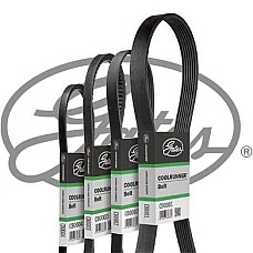 Curea transmisie Water pump V-Belt THERMO KING SL 100e SL 200e SL 300 SL 400e SLX100 SLX200 SLX400 GATES GATCB0001