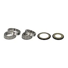 Rulment cap de sasiu Caster Avand Kit ALL BALLS 22-1037
